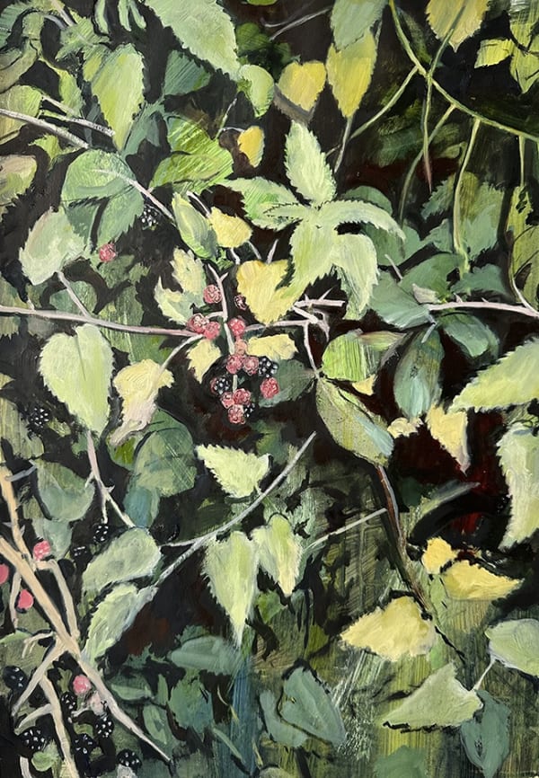 David Edmond, Sketch 2