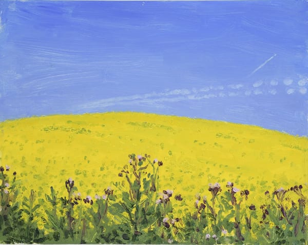 Danny Markey Yellow Fields and Aeroplane oil on board 23.5 x 29.5 cm