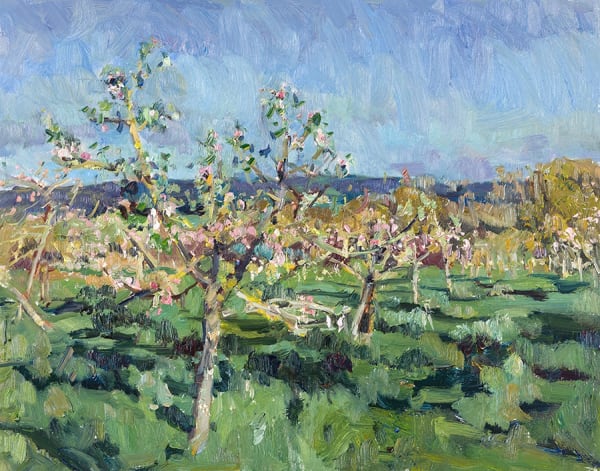 Tom Benjamin NEAC, Apple Blossom at Haddon Copse Farm