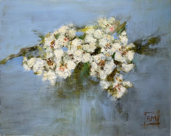 Bridget Macdonald, Pear Blossom