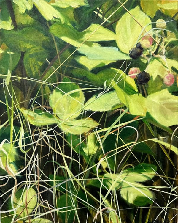 David Edmond, Thicket 2