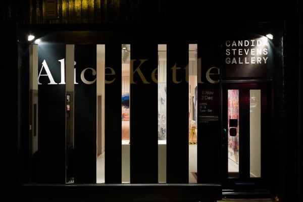 Installation Alice Kettle Candida Stevens Gallery 24 Web