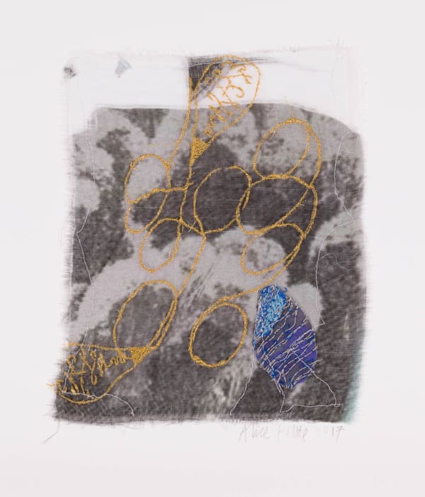 Alice Kettle Vines 2, 2017