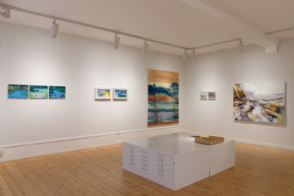 A4 Candida Stevens Gallery Water And Ways Install 1