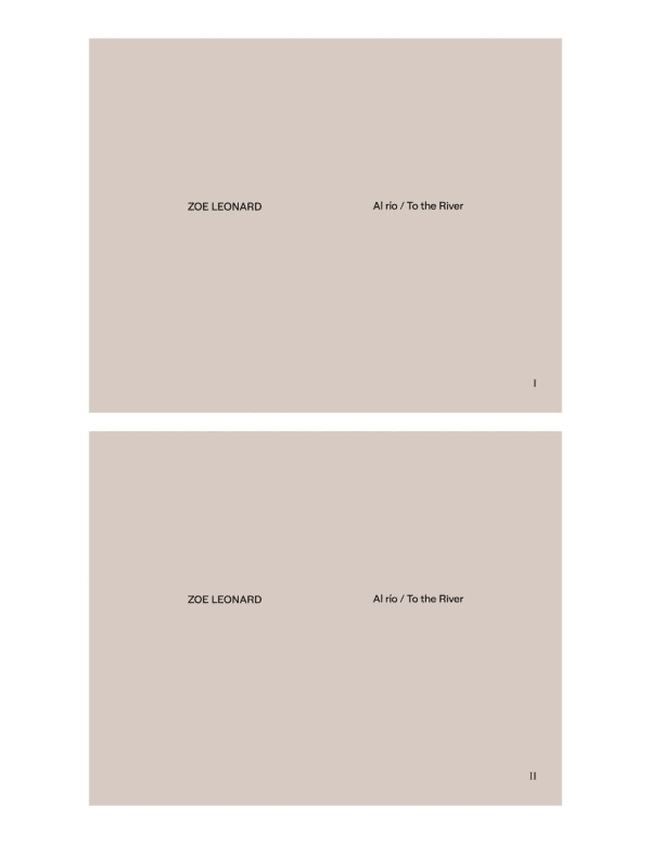 Zoe Leonard