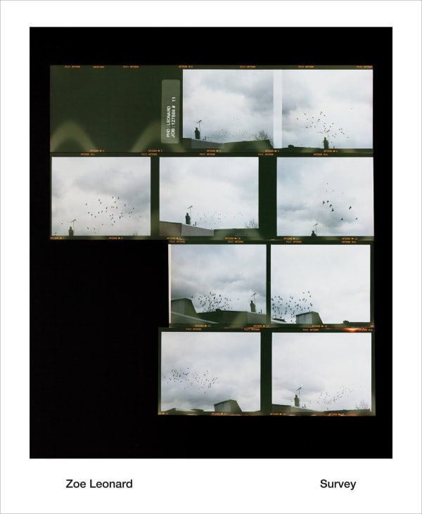 Zoe Leonard