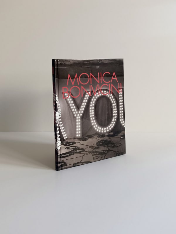 Monica Bonvicini