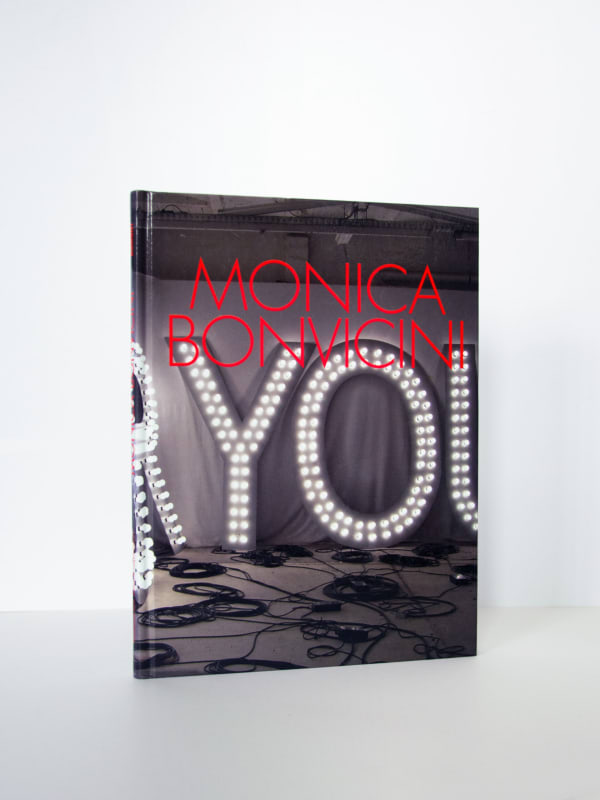 Monica Bonvicini