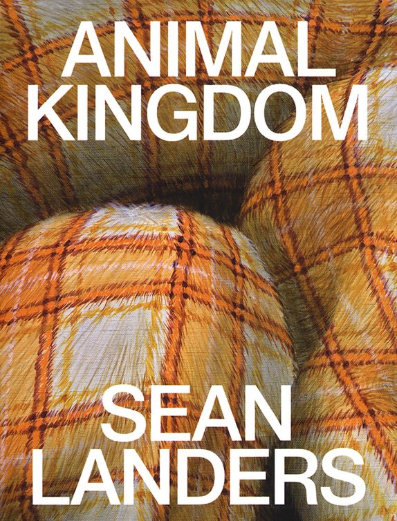 Sean Landers