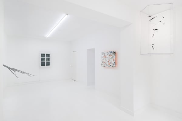 Capsule Insta 20180919 26