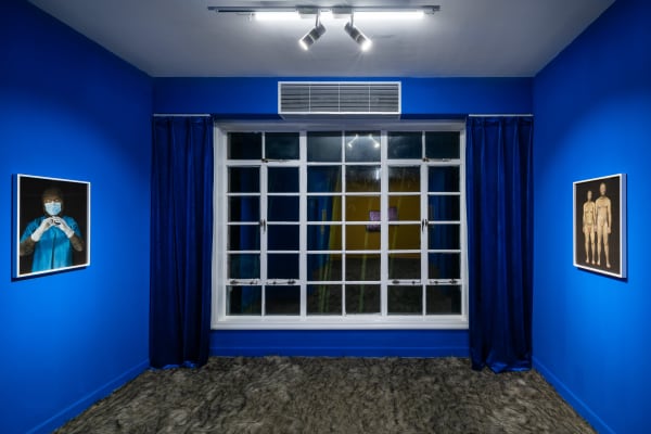 Why Installation 014A 2018