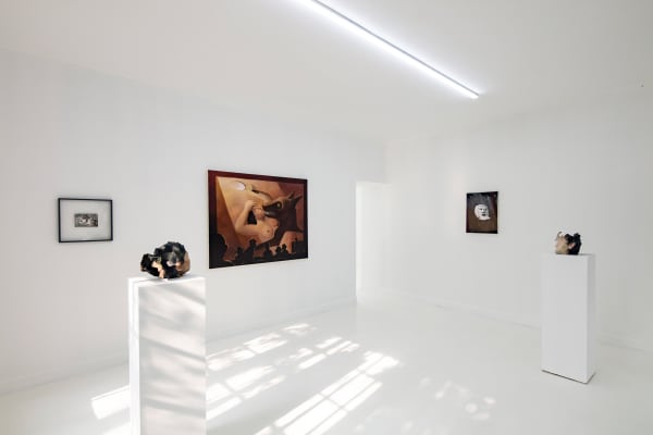 Downtherabbithole Installationview21