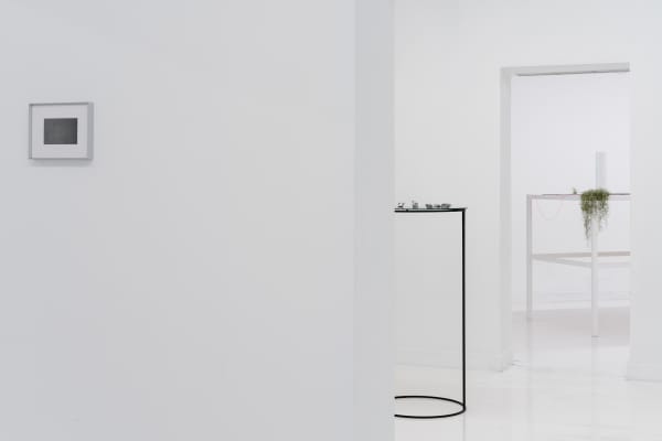 Capsule Insta 20210316 26