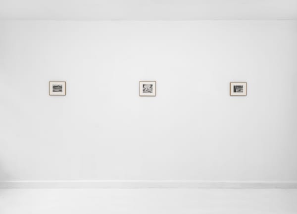 Konglingnan Shepherdingfish Installationview 02