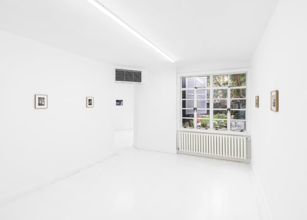 Konglingnan Shepherdingfish Installationview 05