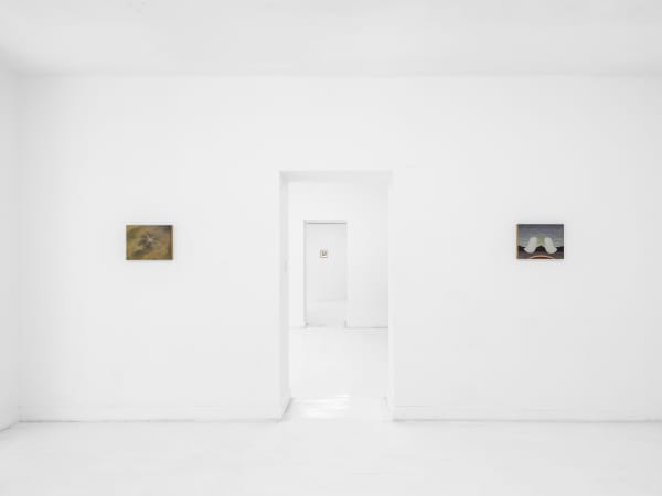 Konglingnan Shepherdingfish Installationview 13