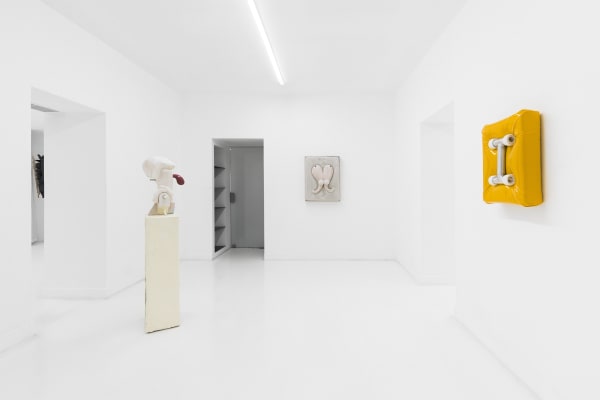 Douglasrieger Concealer Installationview 13