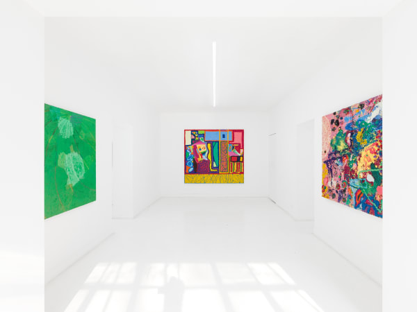 Dc Flowersinthemirror Installationview18