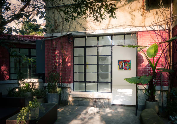 Dc Flowersinthemirror Installationview30