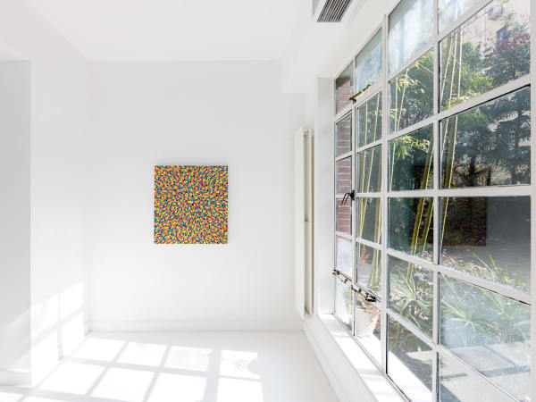 Dc Flowersinthemirror Installationview36