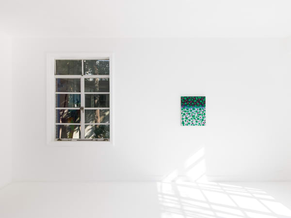 Dc Flowersinthemirror Installationview37