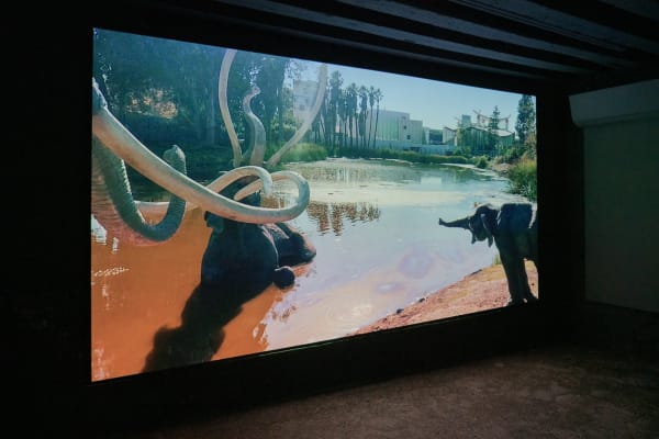 Capsulevenice Whenwebecomeus2 Installationview 37