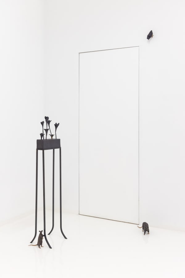 Capsuleshanghai Elizabethjaeger Contempt Installationview 11