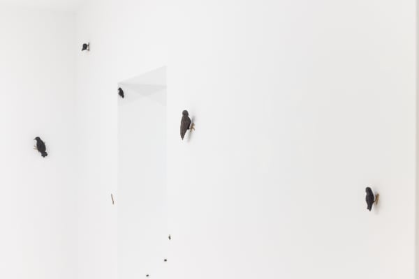 Capsuleshanghai Elizabethjaeger Contempt Installationview 15