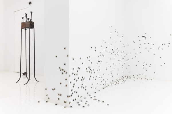 Capsuleshanghai Elizabethjaeger Contempt Installationview 27