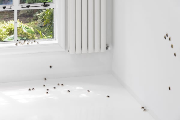 Capsuleshanghai Elizabethjaeger Contempt Installationview 41