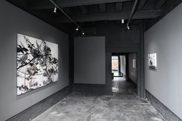 Photo by Riccardo Banfi 照片由Riccardo Banfi拍摄