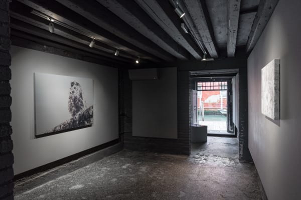 Photo by Riccardo Banfi 照片由Riccardo Banfi拍摄