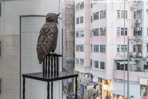 Courtesy of Capsule. Photo by Teddy Leung at FODDDER 图片由胶囊提供，由Teddy Leung（FOODDDER）拍摄