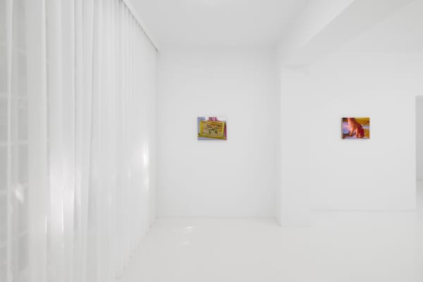 Capsule Taosiqi Thenakedeye Installationview 16