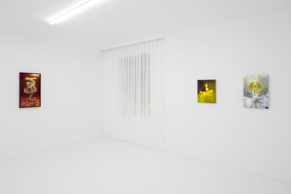 Capsule Taosiqi Thenakedeye Installationview 36