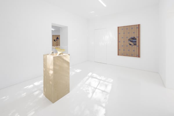 Capsule Miranda Fengyuan Zhang Perpetualtemptation Installationview 09