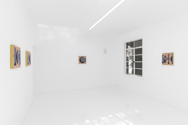 Capsule Miranda Fengyuan Zhang Perpetualtemptation Installationview 32