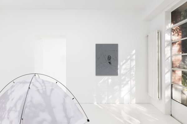 Capsule Lucacampestri Wateringtheplants Installationview 09