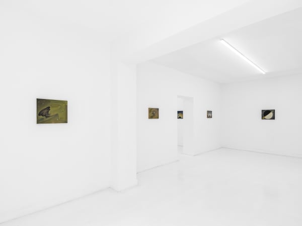 Kong Lingnan 孔令楠 - Entanglement 纠缠, 2025