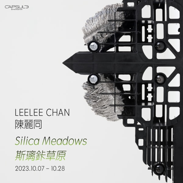 Leelee Chan: Silica Meadows