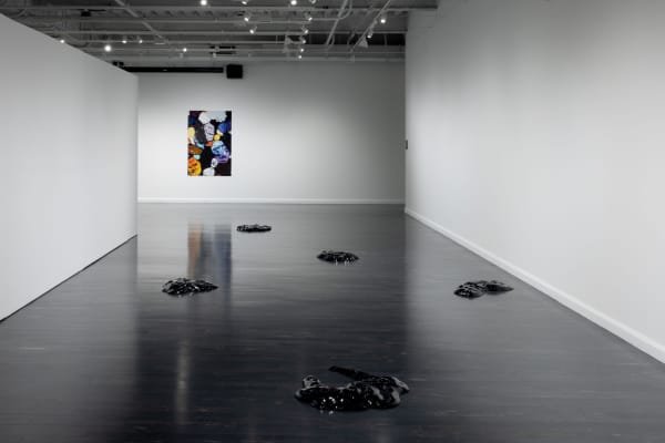 王凝慧|个展 “We Are Extraterrestrial” @ 文森特•普莱斯艺术博物馆