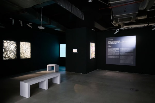 王凝慧|个展“地球朝太阳坠落却擦肩而过” @ 集美艺术中心