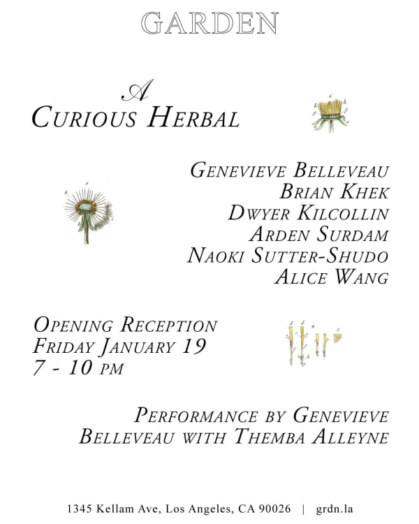 Alice Wang|Group Exhibition: A Curious Herbal