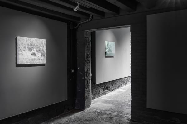 An installation view of "Luca Campestri: A Breadcrumb Trail" at Capsule Venice