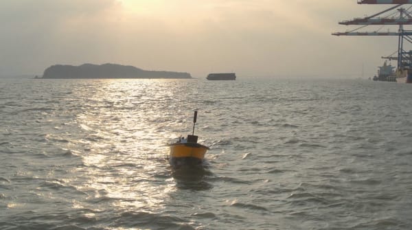 Still images from Seeds of the World, Overture, 2022, Three screen video installation, 10’ each video