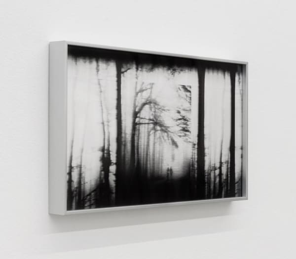 An installation view of "Luca Campestri: A Breadcrumb Trail" at Capsule Venice. Photo by Riccardo Banfi