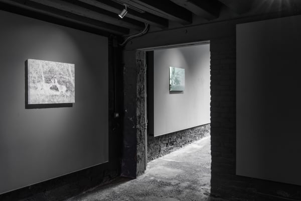 An installation view of "Luca Campestri: A Breadcrumb Trail" at Capsule Venice