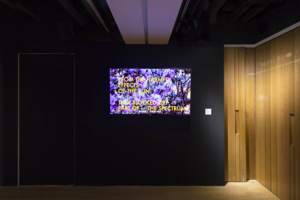 展览现场 Exhibition view