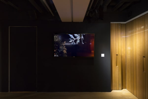 展览现场 Exhibition view