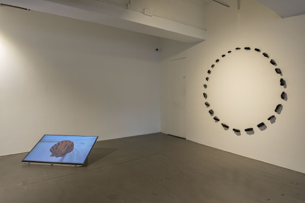 Installation view of Liquid Ground. Courtesy of Para Site, Hong Kong, 2021. Photo: Samson Cheung Choi Sang 「溢流地」展覽視角。2021年香港。圖片由Para Site提供。攝影：張才生
